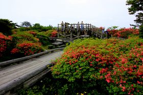 niHߐ{unvccW20{A閧̉ԉ̋LTlC