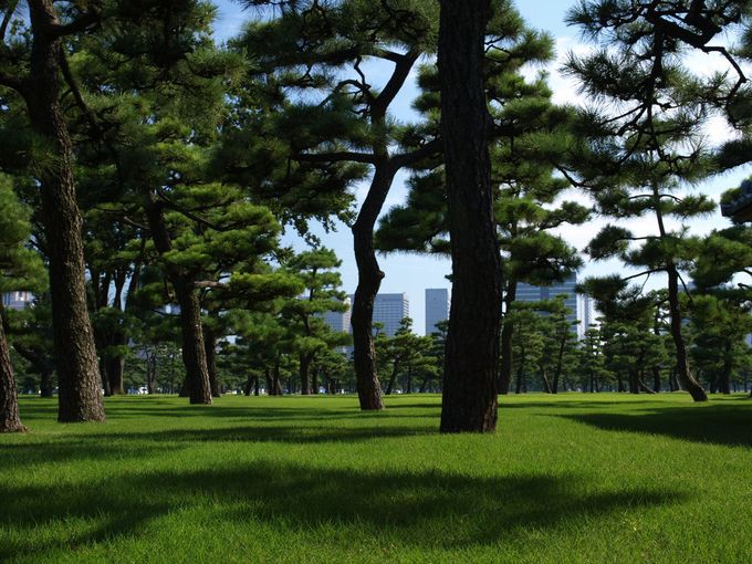 5.ANZXQI؍ݒ͍ccsNjbN