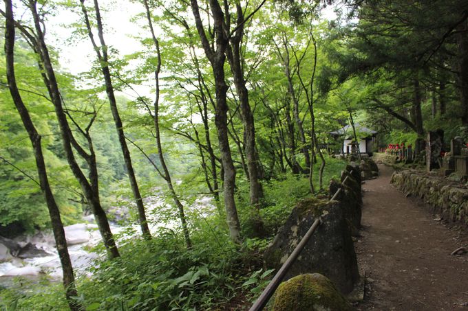 日光 憾満が淵 化け地蔵 水と巨岩とミステリー 栃木県 Lineトラベルjp 旅行ガイド