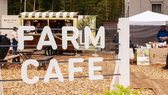 �q��O���������i���I�t�@�[�����X�g��������{���I�[�v���J�t�F