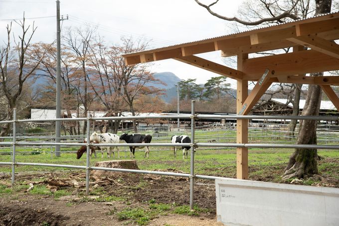 �t�H�g�X�|�b�g�����ځI�q�ǂ��������������v���؂�V�ׂ�I