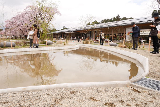 ���ꖳ���I��{���e���X�E���򂶂�Ԃ���Ԓr�E���q�l�����G���A���I