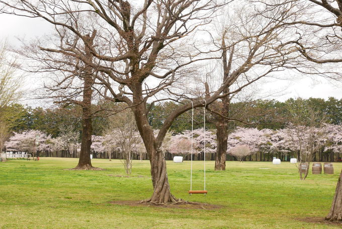 �t�H�g�X�|�b�g�����ځI�q�ǂ��������������v���؂�V�ׂ�I