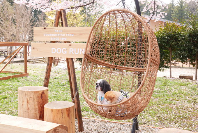 �t�H�g�X�|�b�g�����ځI�q�ǂ��������������v���؂�V�ׂ�I