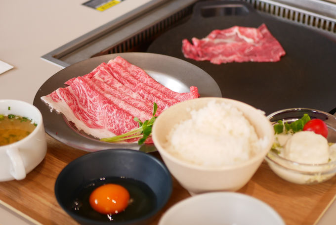 �q��O���������i���I�t�@�[�����X�g��������{���I�[�v���J�t�F