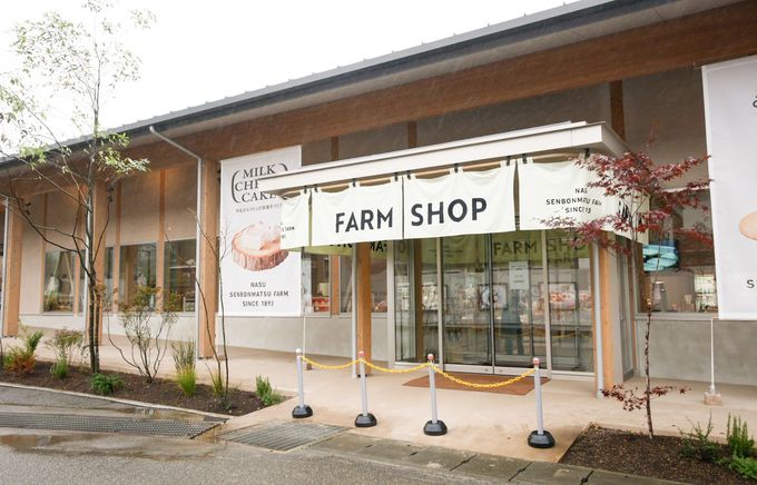 ���Жq�ꐻ�i���ߐ{�E�Ȗ؂̈�i�������I�}���V�F��V���b�v