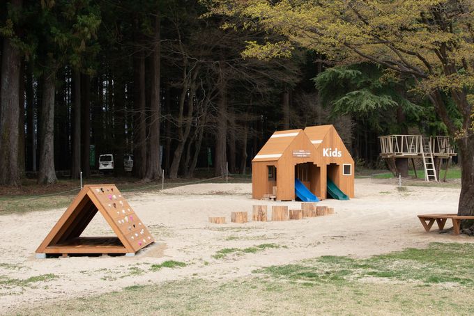 ���ꖳ���I��{���e���X�E���򂶂�Ԃ���Ԓr�E���q�l�����G���A���I