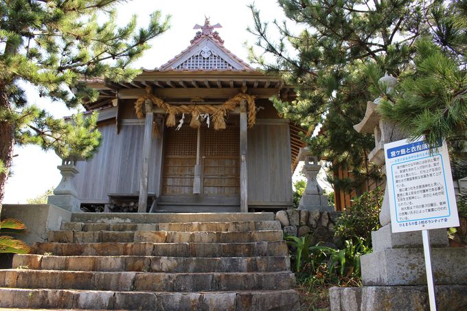 ��ʁE�{�����̏�Ɍ��u�ߔ��{�_�Ёv