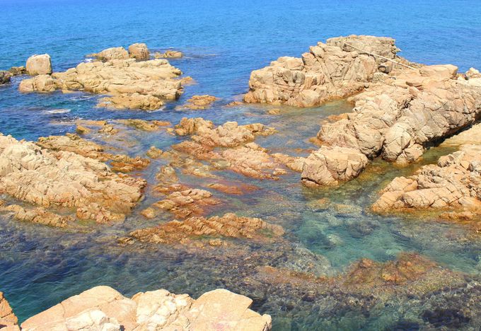 �T�t�@�C�A�F�̊C�Ɗ�ʂ̐D��Ȃ��h���}�e�B�b�N�ȕ��i