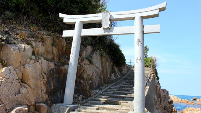 �T�t�@�C�A�F�̊C�Ɗ�ʂ̐D��Ȃ��h���}�e�B�b�N�ȕ��i