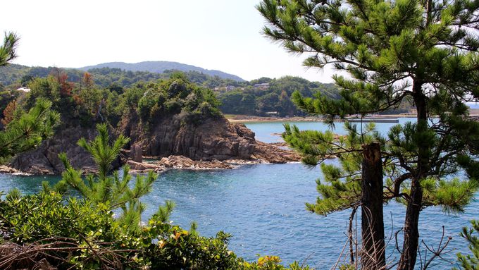 �{�����������ƈ��