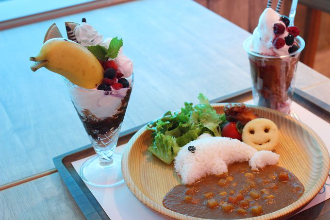 �C���J�V���[�𐅒����猩���郌�X�g�������I