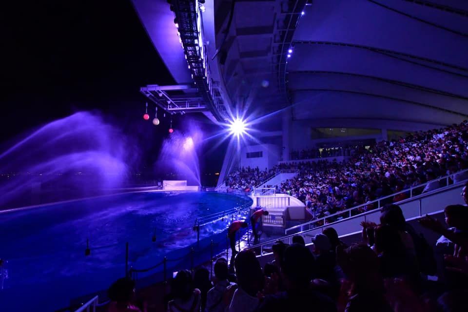 �Č���̂��y���݂������ς��I