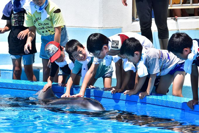 �Č���̂��y���݂������ς��I