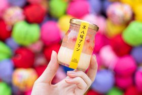 u vvIsXC[cyY̐V̋LTlC