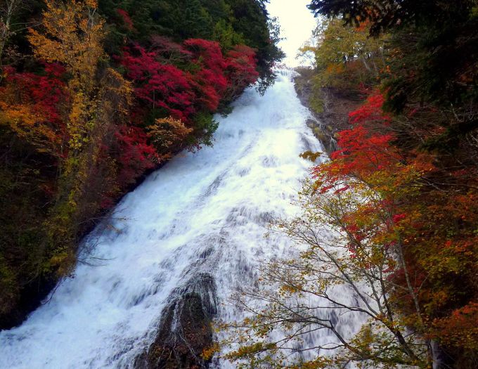 日光 鬼怒川で訪れたい紅葉スポット 王道から穴場まで 栃木県 Lineトラベルjp 旅行ガイド