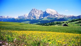 ɁEEYh~euAy fB VEWvB̂Ԕ_I̋LTlC