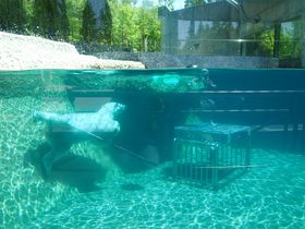 lő勉uƂܓv̐lC҃|񂪉I̋LTlC