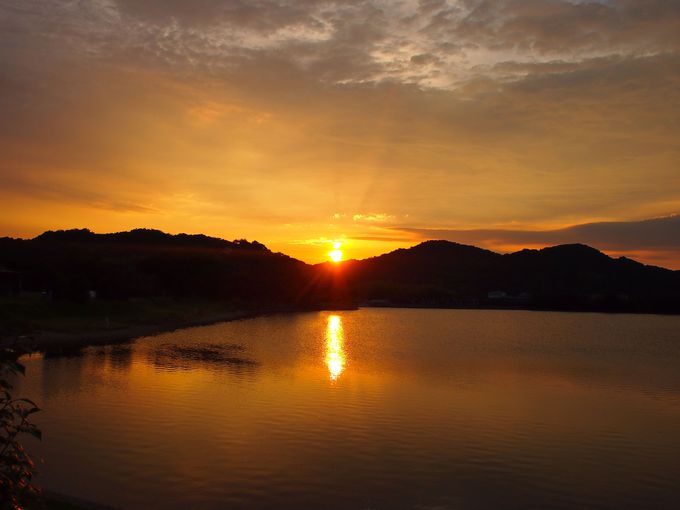 [ꎞɂ͗[̂т蒭߂܂