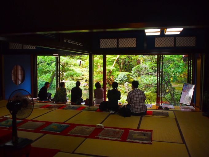 日本庭園を眺めながら、抹茶でおもてなし