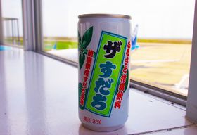 RCŔI荠îyYTIu`v̋LTlC
