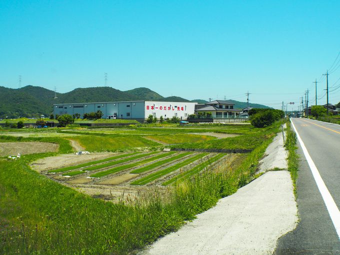 駄菓子の聖地はここじゃが 瀬戸内市 日本一のだがし売り場 岡山県 トラベルjp 旅行ガイド