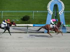 ňۓԋ߂Ŋ悤I{ő̍Lւ鐷n̋LTlC