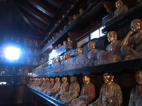 ŗ499̂qށǏzc񉶎̋LTlC