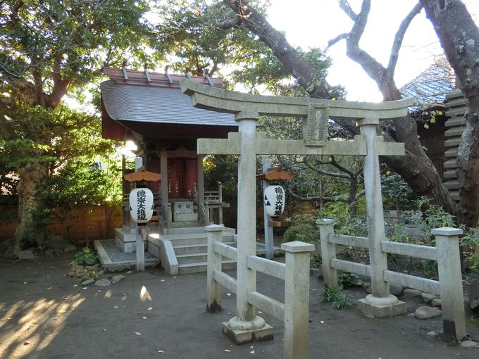 鎌倉の職人達に受け継がれる伝統。所蔵の「秘仏」は門外不出！