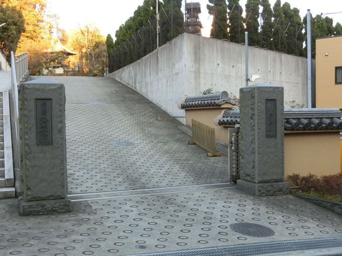 ƍN𒢂Ȃ琶Uu̕vƁu@v