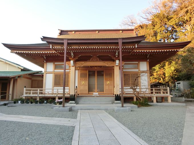 ƍN𒢂Ȃ琶Uu̕vƁu@v