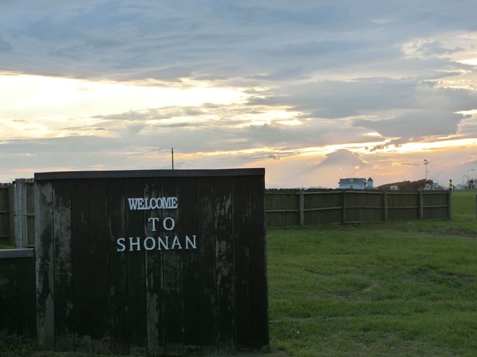 Lȕ~n̗pr͗lXIUɃCJ̐H