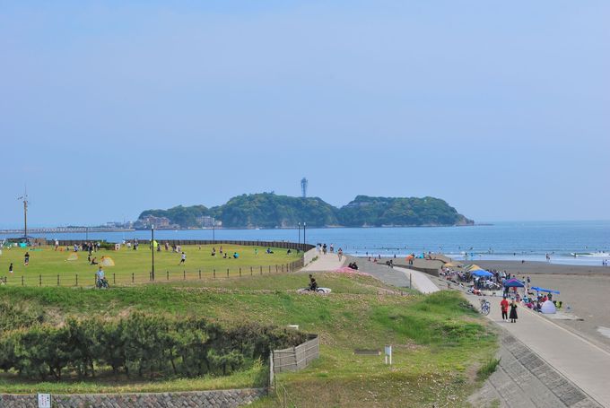 Lȕ~n̗pr͗lXIUɃCJ̐H