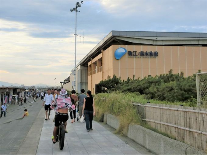 Lȕ~n̗pr͗lXIUɃCJ̐H