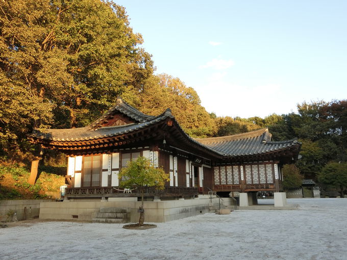 ؍̎̌IuRA뉀vŃ^CXbv