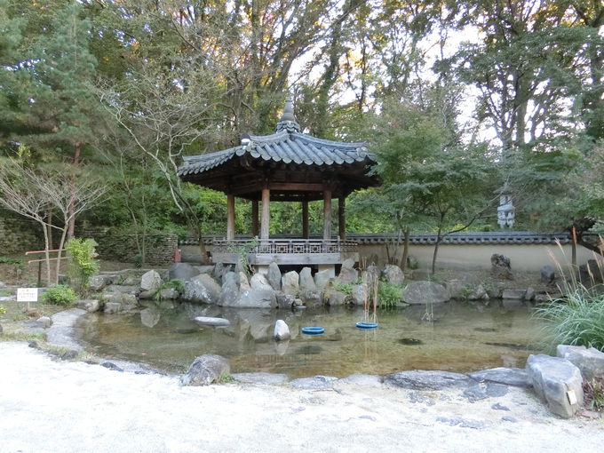 ؍̎̌IuRA뉀vŃ^CXbv