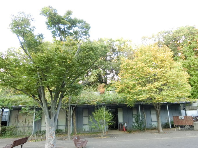 ԂCɂ̂т߂ILȗ΂Ɉ͂܂ꂽ