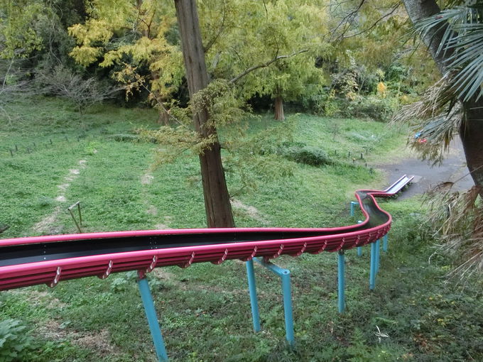 qǂɐlC̃OI͂ʂlG̉ԁXK