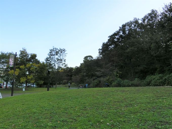 ԂCɂ̂т߂ILȗ΂Ɉ͂܂ꂽ