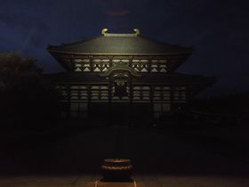 古都・奈良の絶景ナイトスポット巡り！夜の奈良公園は別世界