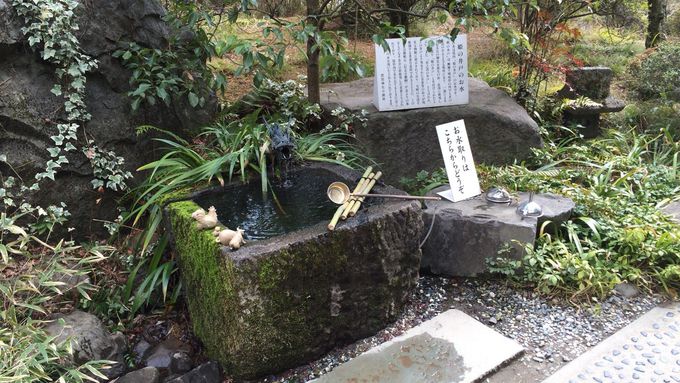 武田神社境内にあるパワースポット「名水・姫の井戸」