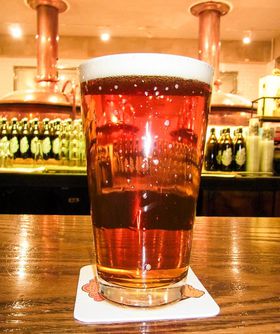 �n�r�[���p���_�C�X�k���I�{���̃N���t�g�r�[�������߂邨�X�̋L���T���l�C��