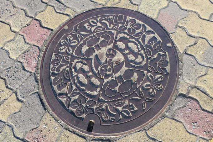 大阪 太陽の塔 再生 岡本太郎のベラボウな塔に会いに行こう 大阪府 トラベルjp 旅行ガイド