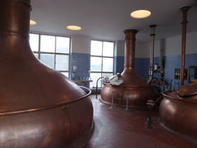 `̃xM[r[uwbgEAPvŐEYɊtI̋LTlC