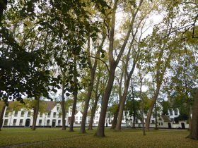 փ^CgxIxM[EYuxMztv闷̋LTlC