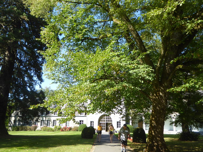 �������C���@���v�`�F�b�N