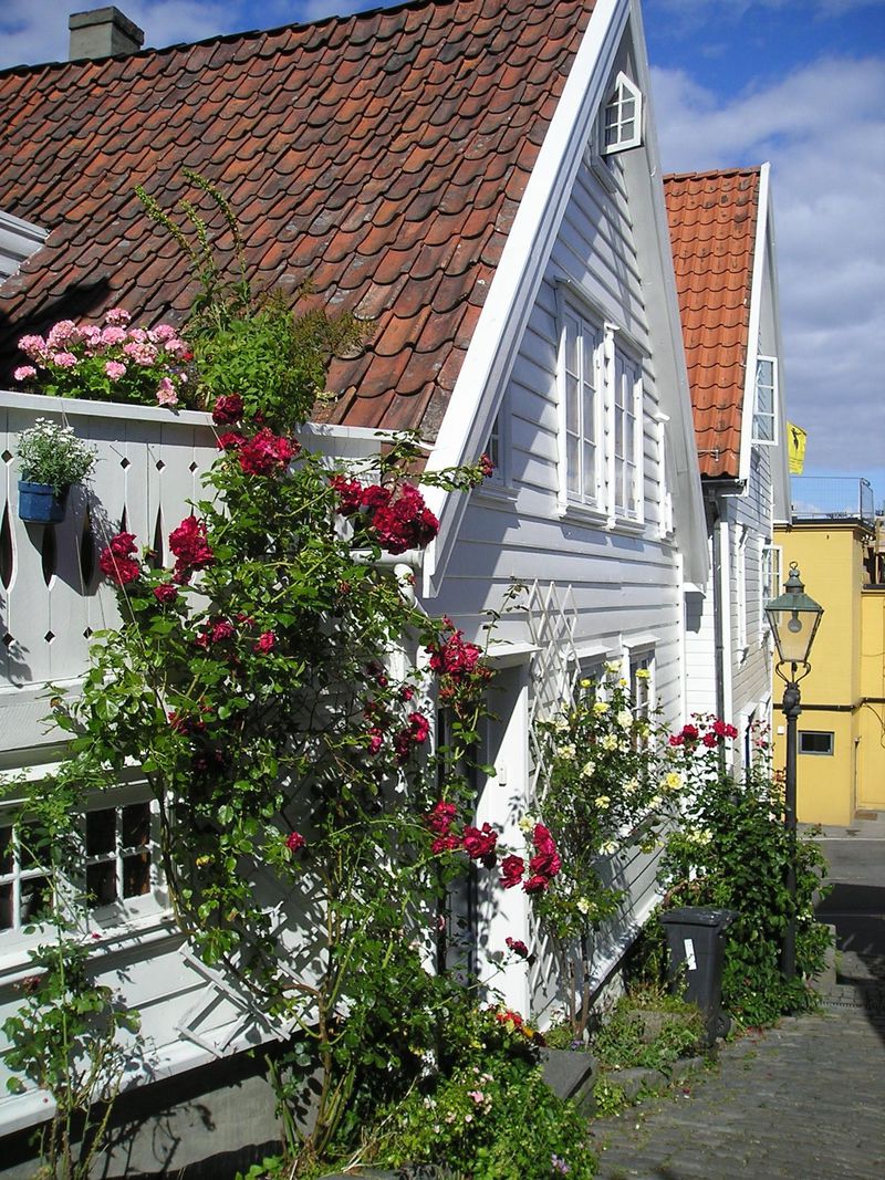 ノルウェー・リーセフィヨルドの拠点「スタヴァンゲル」は、白壁にお花が映える港町