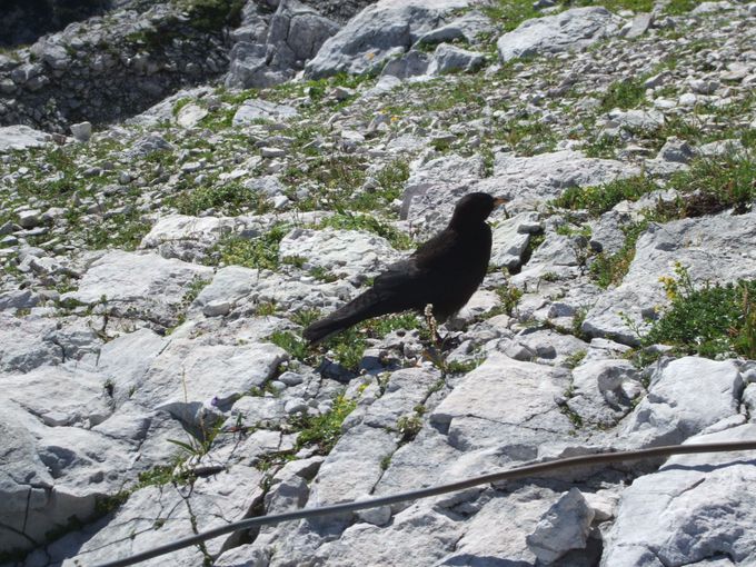 �ً�Ԃ̊�΂���̐��E����n�C�L���O���[�g��