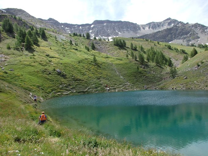 �܂�ŋ��̂悤�I�t�������u�����̒���