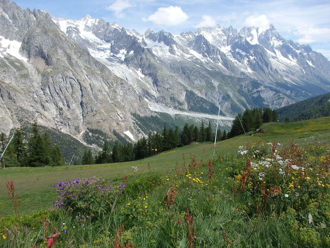 �����u���������Ȃ���n�C�L���O